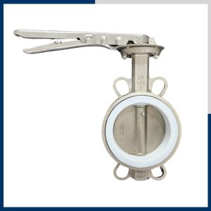 van bướm inox